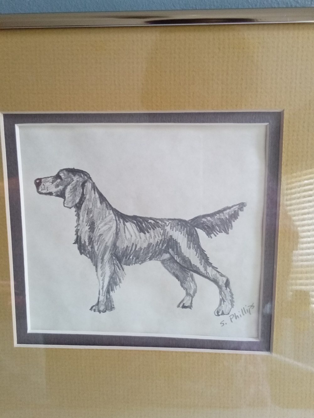 S. Phillips Signed English Setter Dog Pencil Sketch Drawing Framed Art